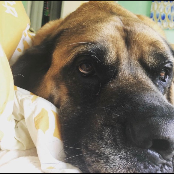 Meet your Posher, Jamie - Picture 1 of 1